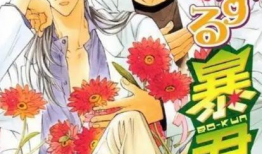 恋爱暴君在线漫画,甜蜜与暴力的交织